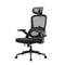 Standard Ergonomic Chairs
